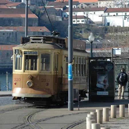 Vitoria Douro *